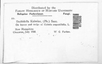 Image Associated With the Occurence